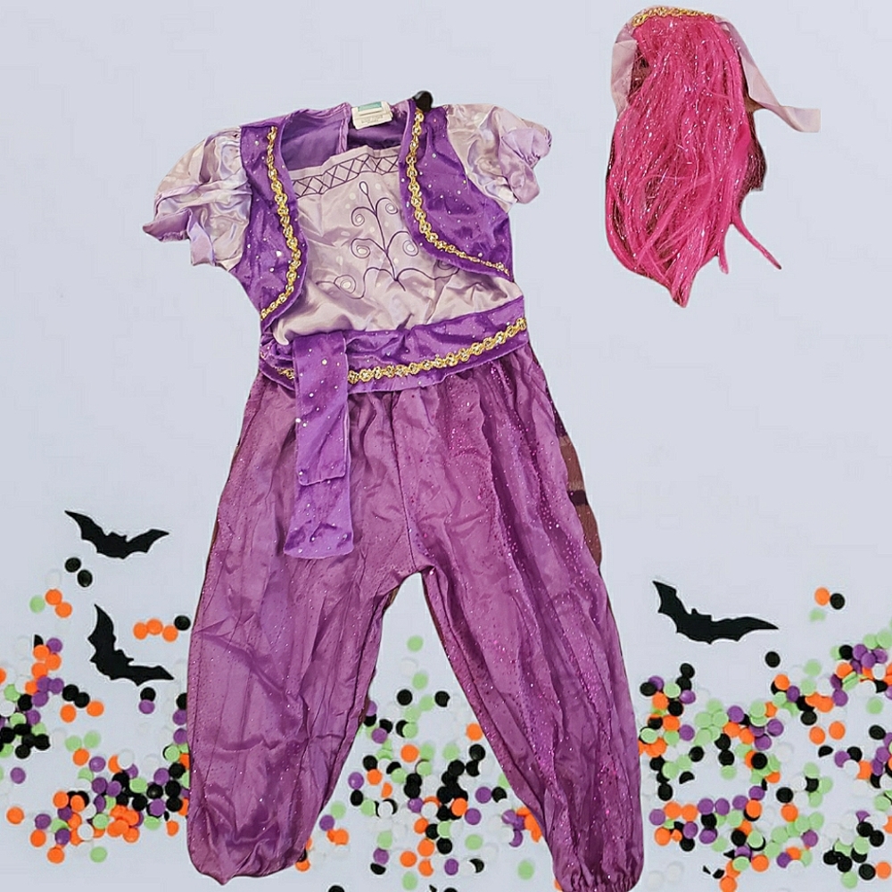 Shimmer and shine costume